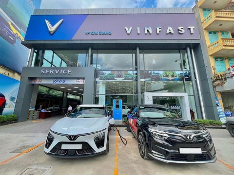 VFG Kim Giang VFG Kim Giang